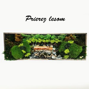 Machový obraz - prierez lesom